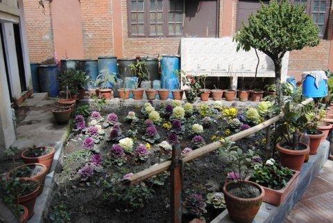 Maharaja Palace Hotell Katmandu Eksteriør bilde