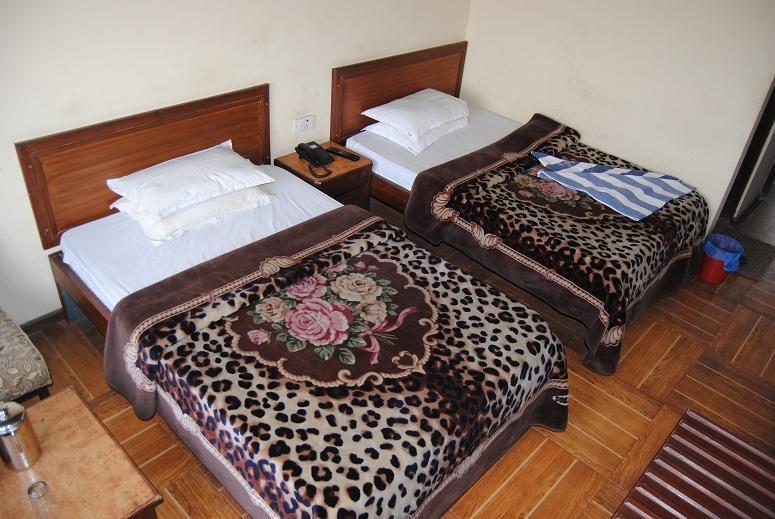 Maharaja Palace Hotell Katmandu Rom bilde
